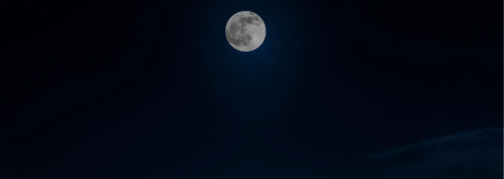 A Wolf Moon Gathering